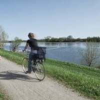 Donauradweg